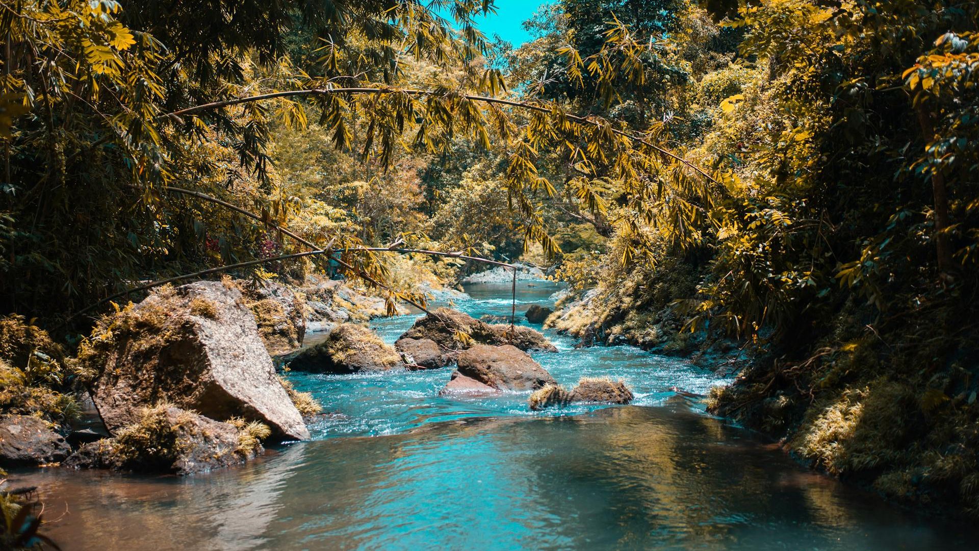 This is a short headline.